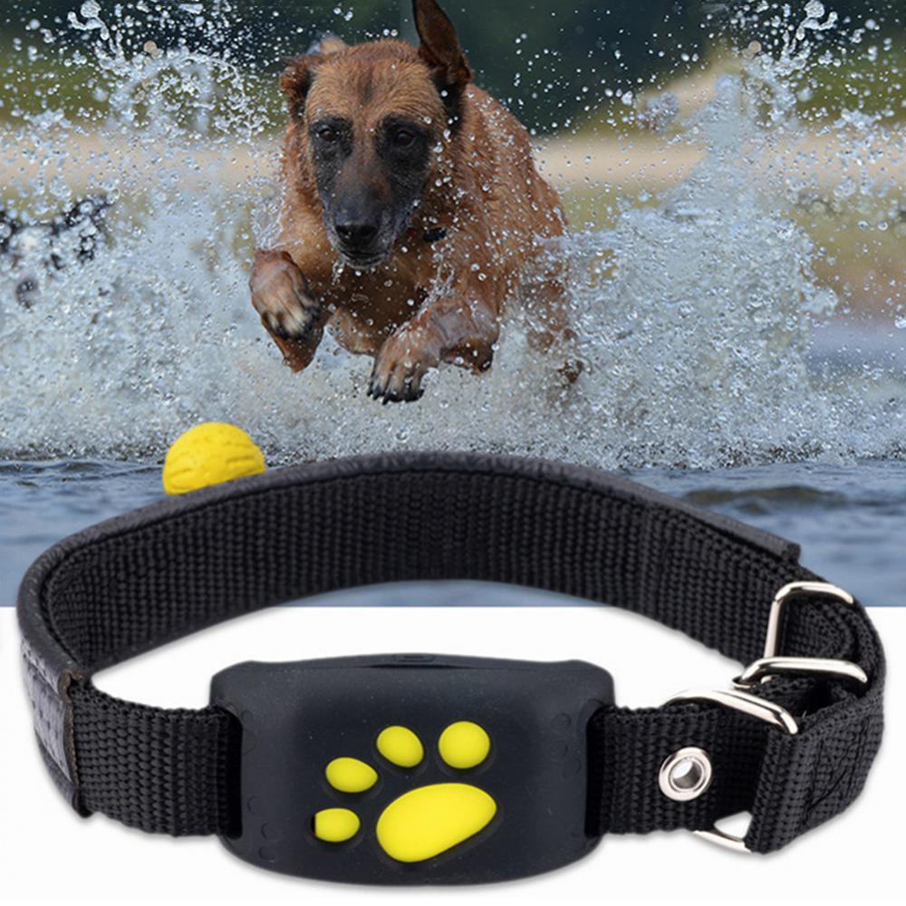 Collar rastreador GPS para mascotas