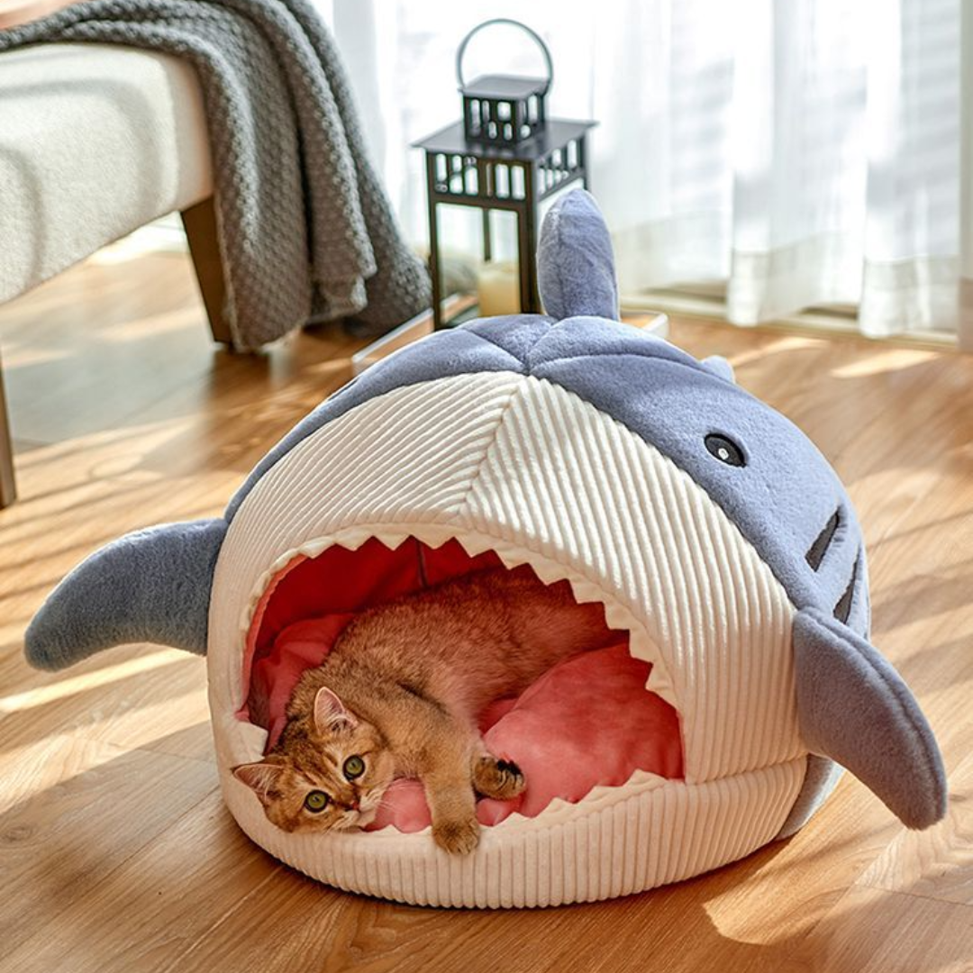 La cama para mascotas Shark